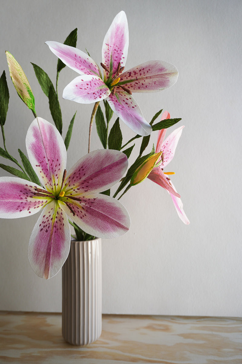 Limited Pink Stargazer Lily – Summer Space Studio