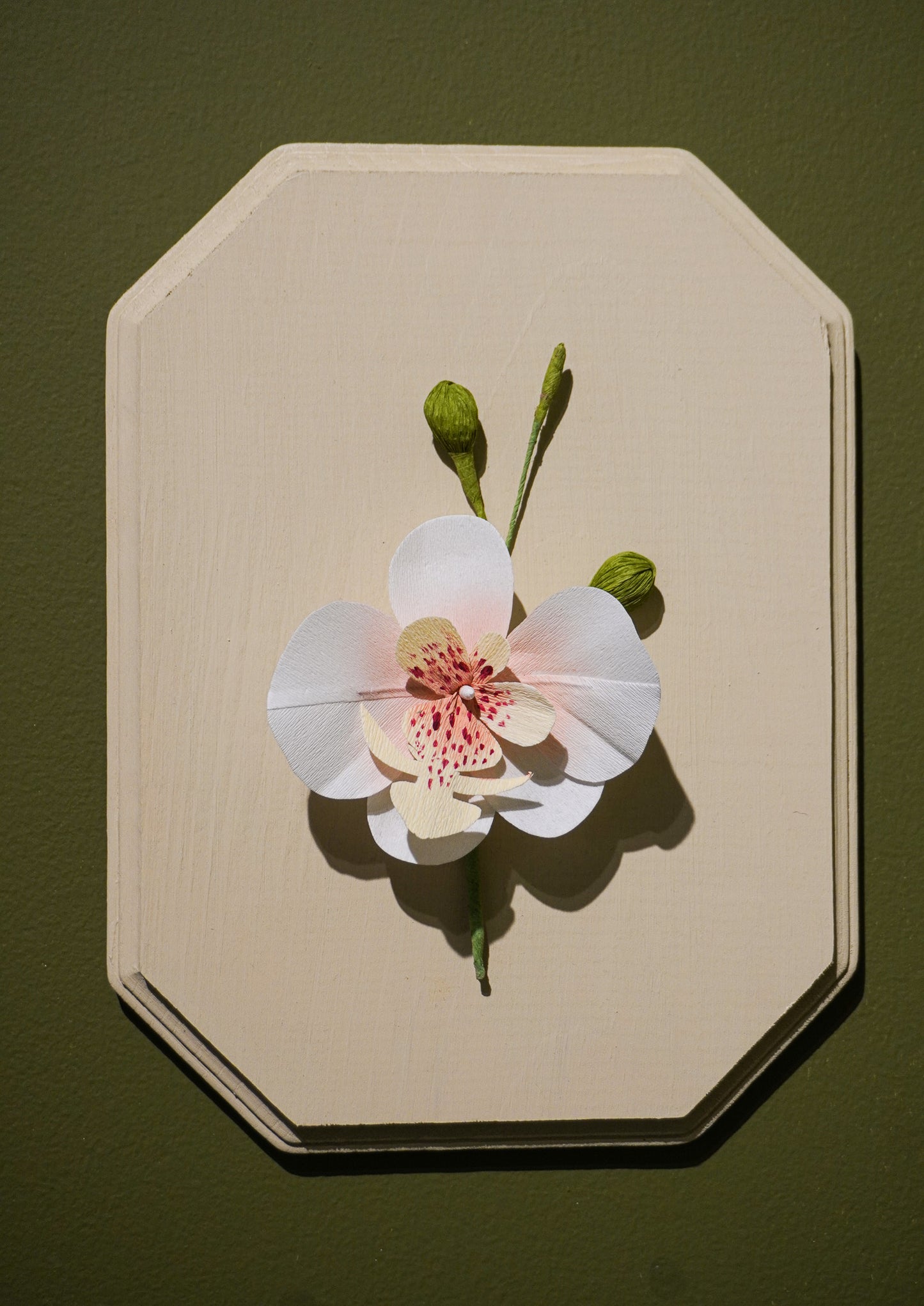 Paper Flower Sculpture on Wooden Frame: Moth Orchid (Display)