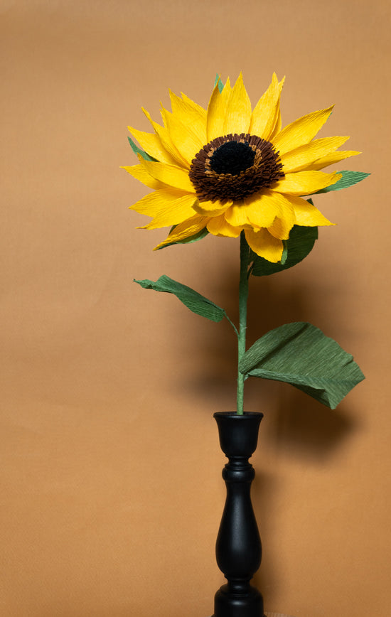 Sunflower stem