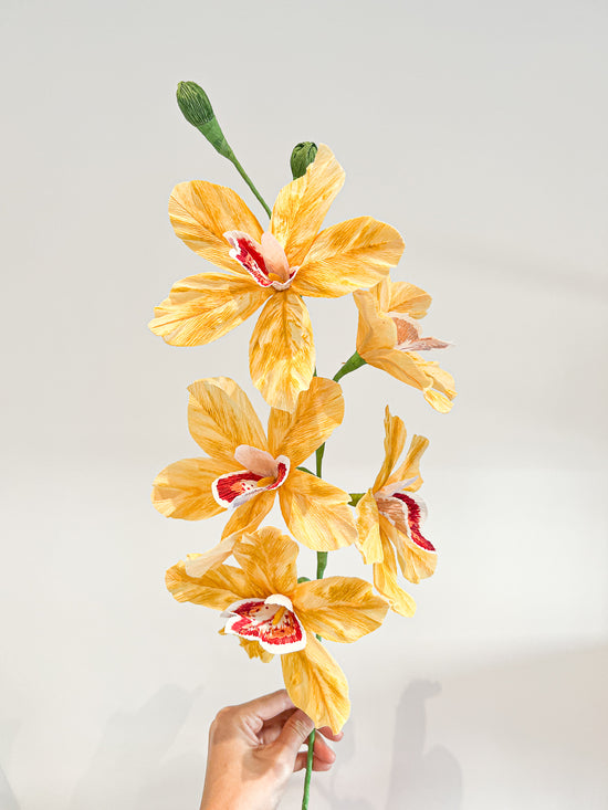 Yellow Cymbidium Orchid branch