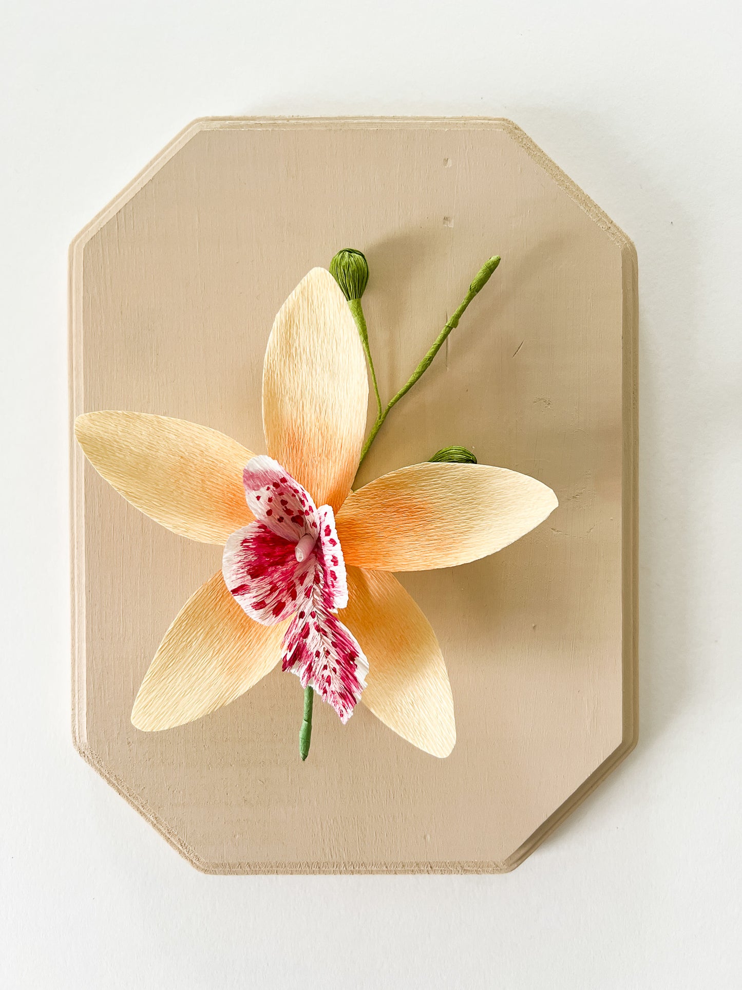 Paper Flower Sculpture on Wooden Frame: Cymbidium Orchid (Display)