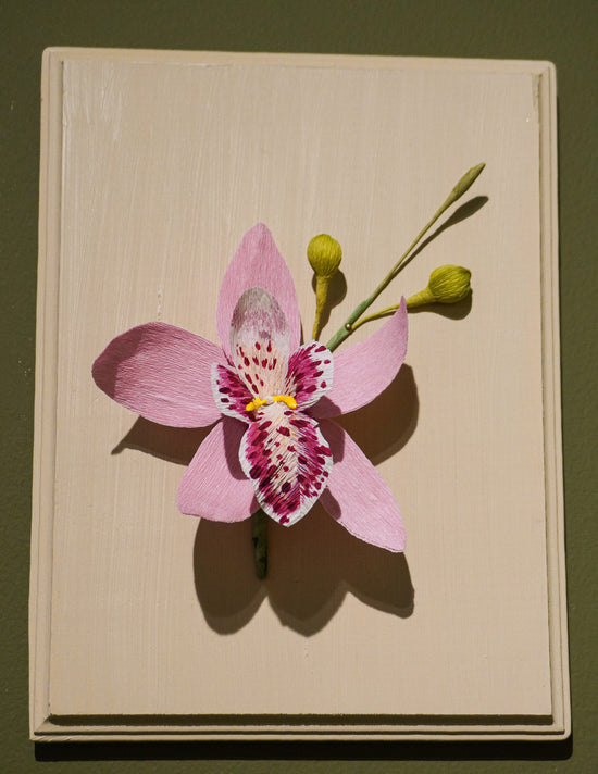 Paper Flower Sculpture on Wooden Frame: Cymbidium Orchid (Display)