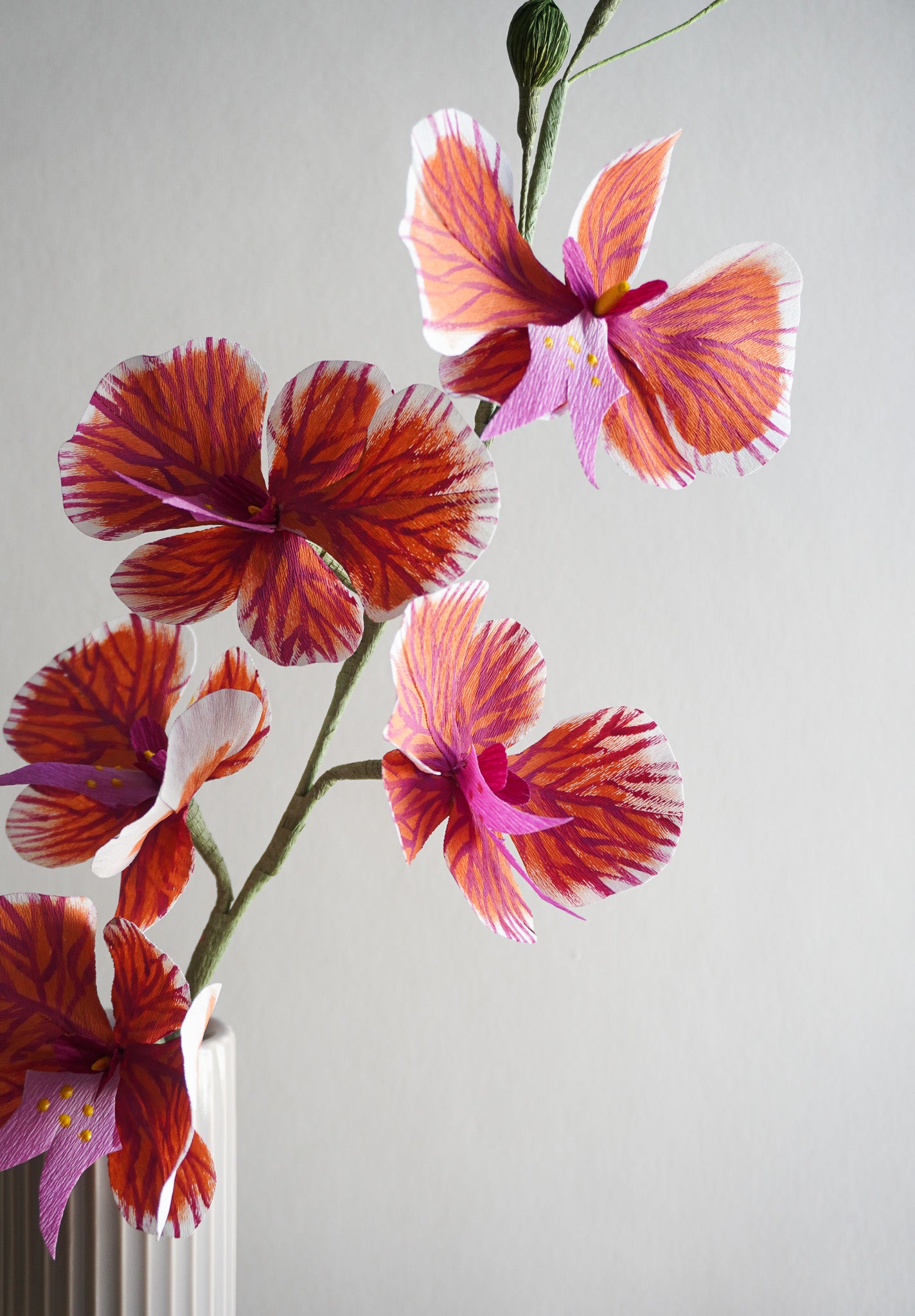 Signature Orchid Branch | Sample Sale
