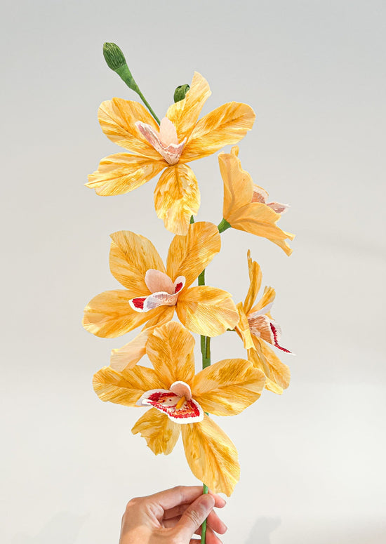 Yellow Cymbidium Orchid branch