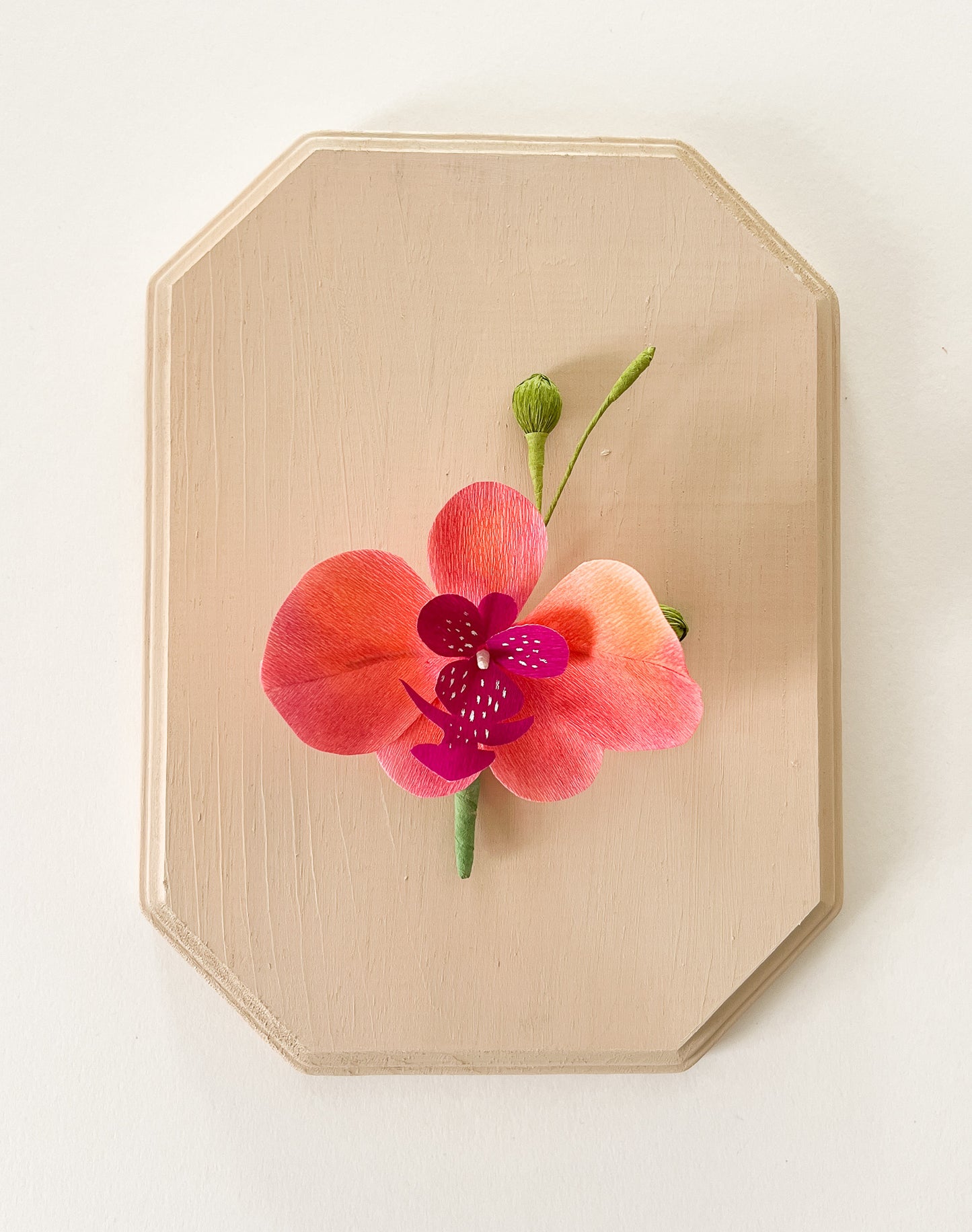 Paper Flower Sculpture on Wooden Frame: Moth Orchid (Display)
