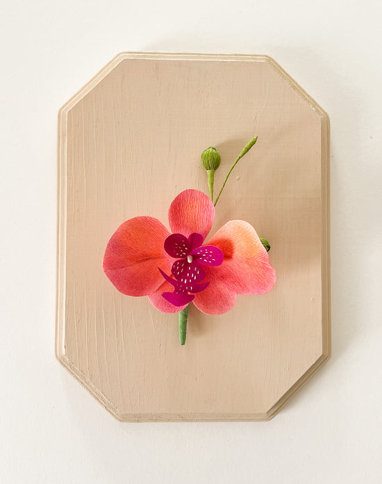 Paper Flower Sculpture on Wooden Frame: Moth Orchid (Display)