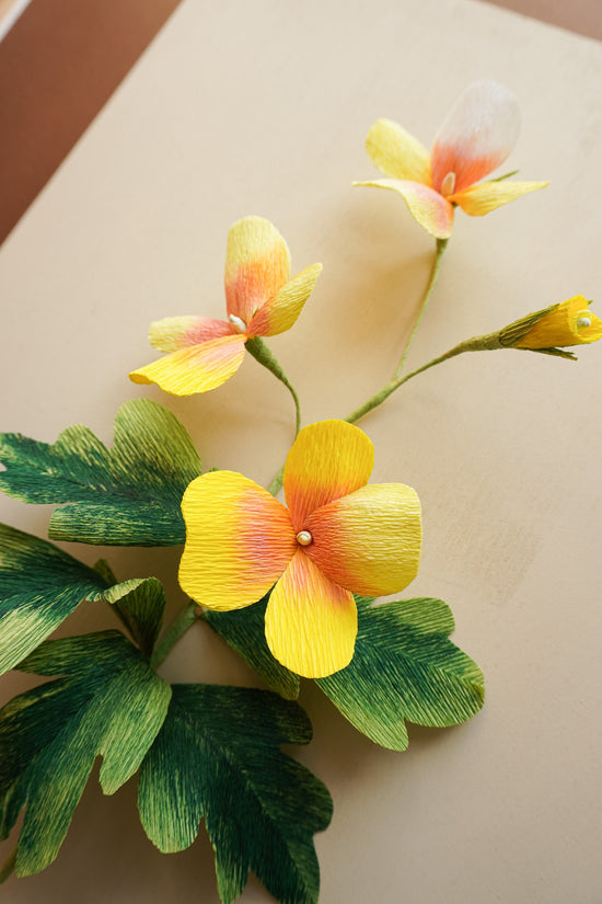 Paper Flower Sculpture on wooden frame: Pansies