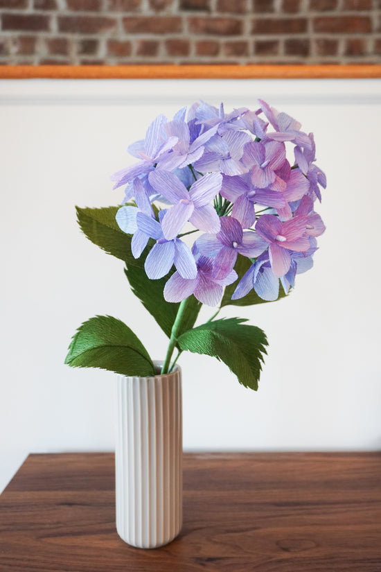 Hydrangea Flower Stem