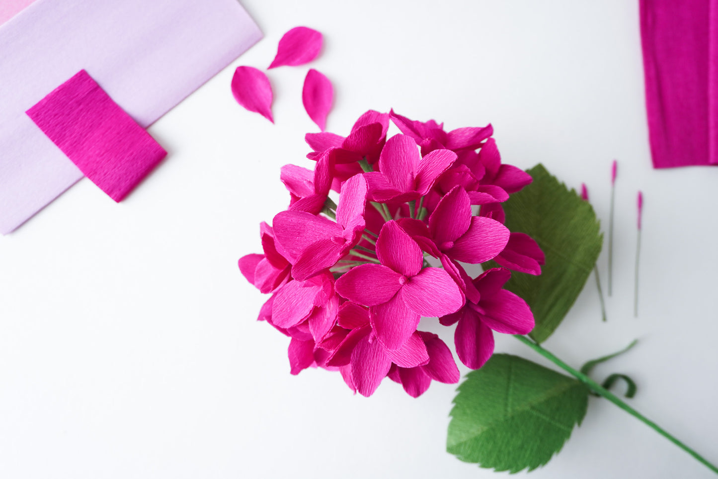 Hydrangea Flower Stem