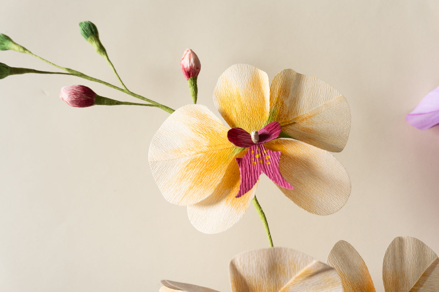 Paper Flower Sculpture on Wooden Frame: Moth Orchid (Display)