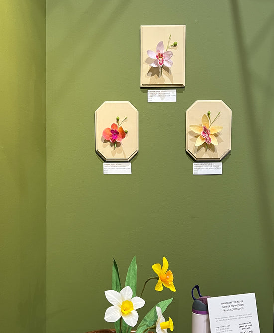 Paper Flower Sculpture on Wooden Frame: Moth Orchid (Display)