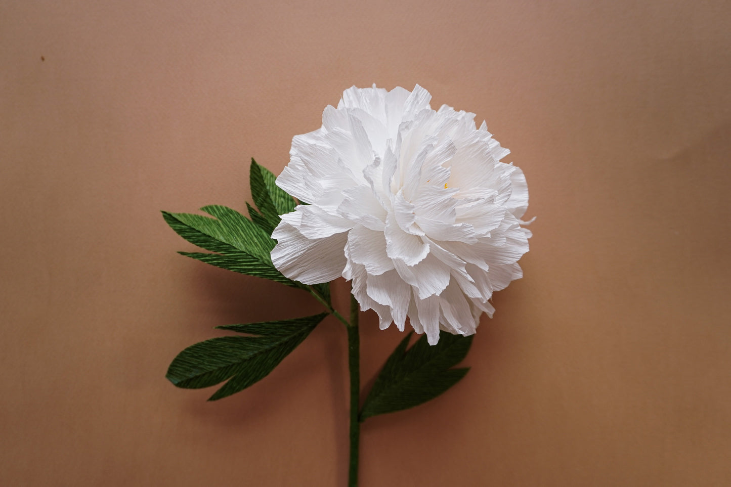 Signature Peony stem