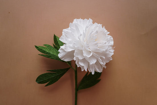 Signature Peony stem
