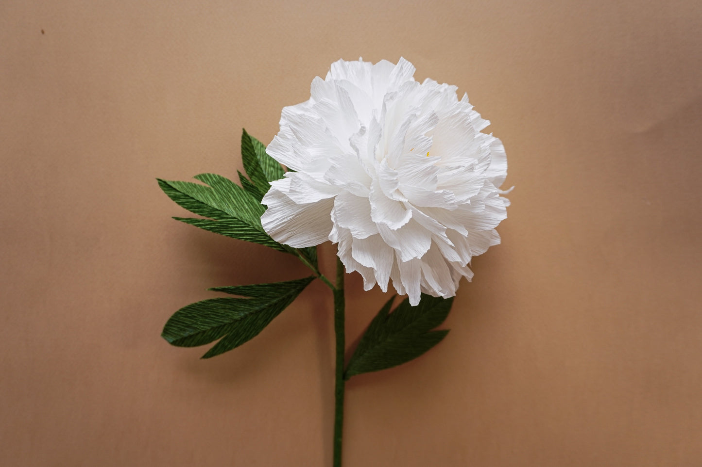 Signature Peony stem