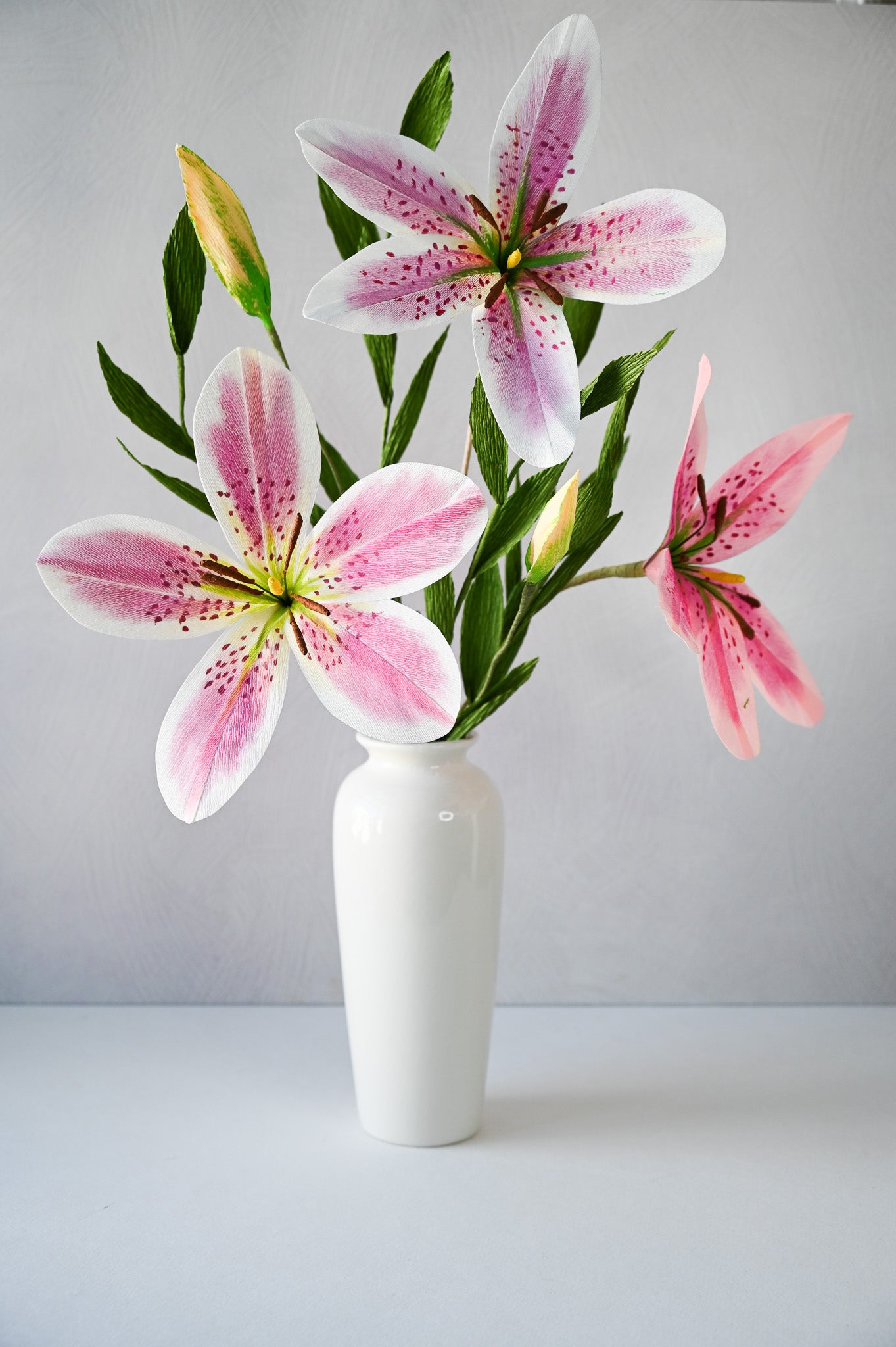 lilies white and pink Stargazer Lily Pink – Summer Space Studio