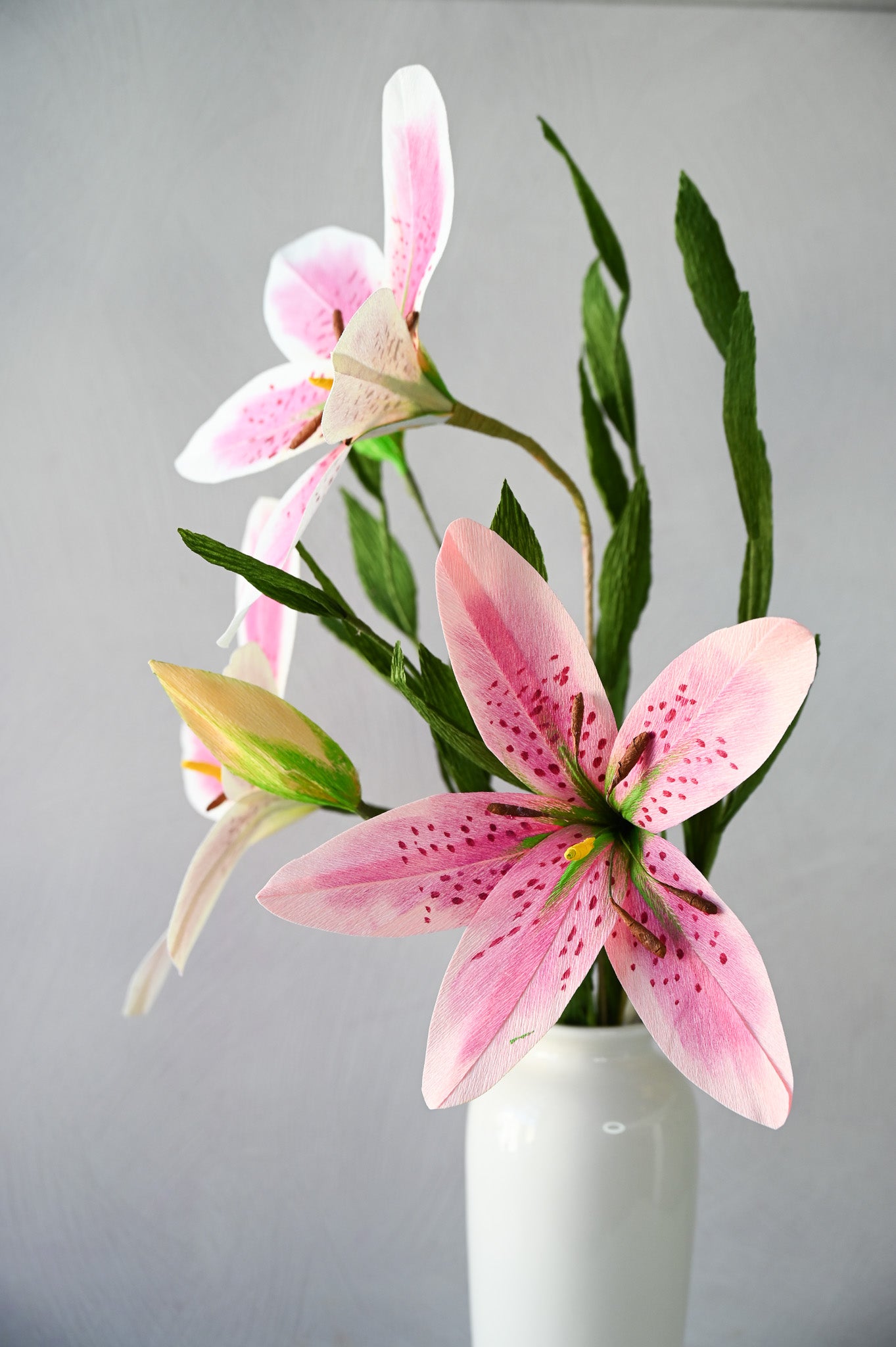 white and pink lily Stargazer Lily Pink – Summer Space Studio